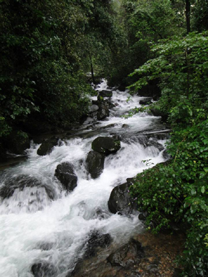 Western Ghats